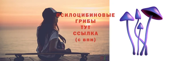 прущие грибы Бронницы